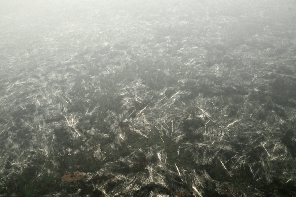 Vista aérea de uma área da floresta amazônica devastada por incêndios, em 20 de agosto de 2024, em Cujubim, Rondôniaqueimadas seca clima pastagens problemas respiratórios saúde