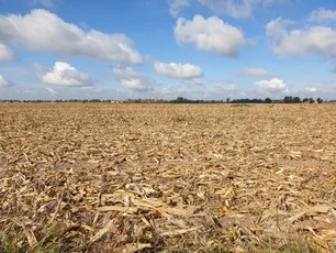 Imagem referente à matéria: Como a chegada do La Niña pode afetar os preços do café e chocolate; entenda