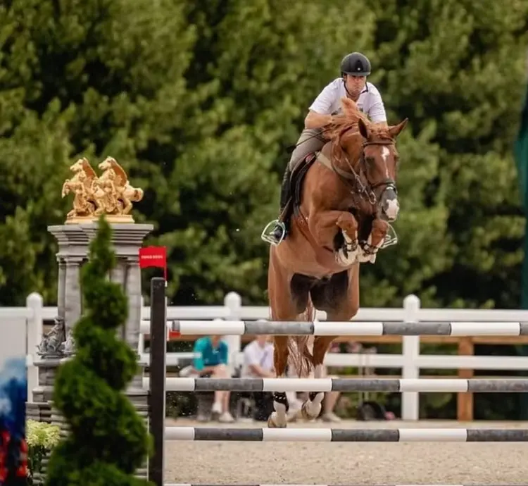 Pedro Veniss também está desclassificado da prova individual (Divulgação Confederação Brasileira de Hipismo)