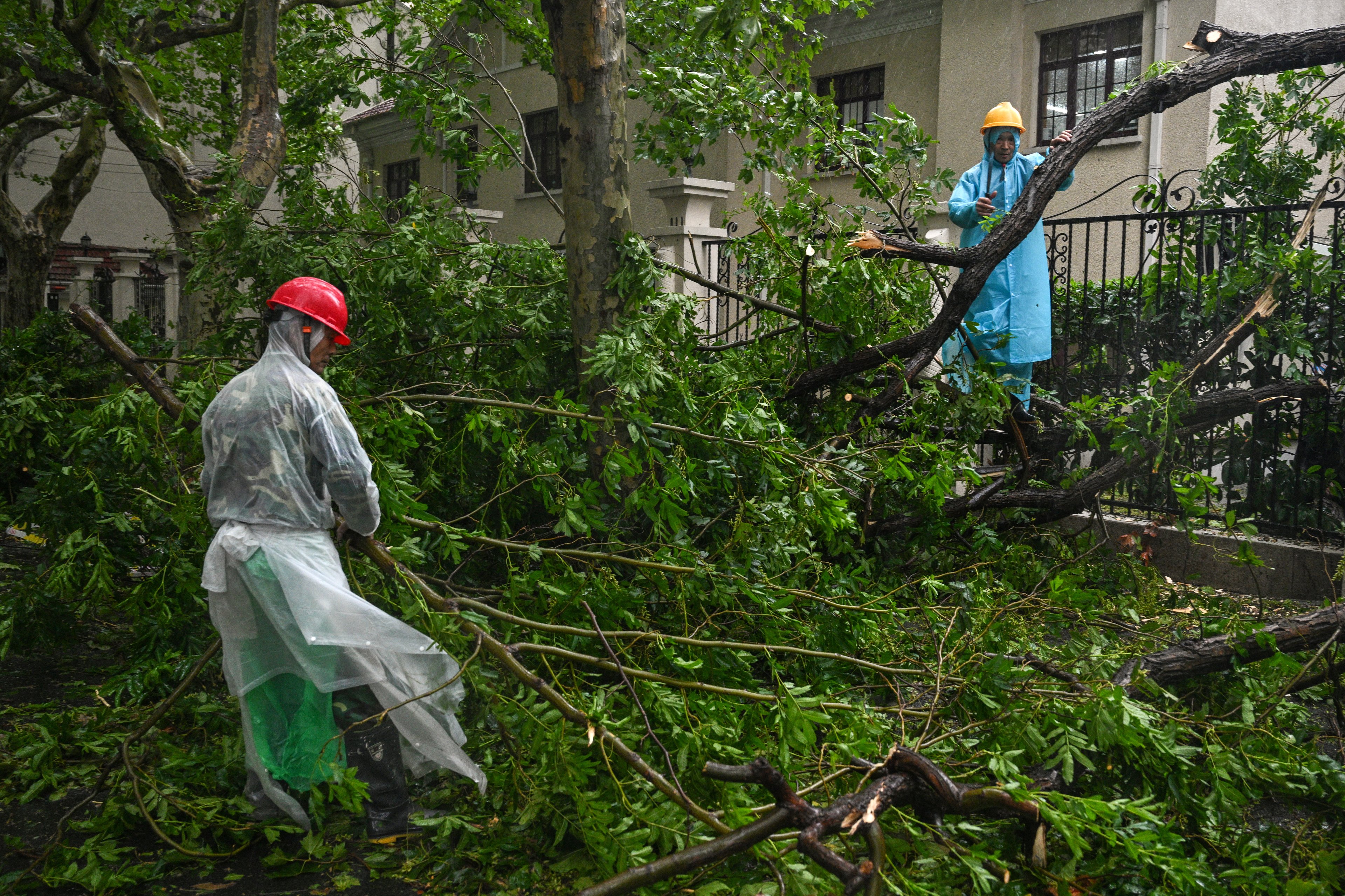 Trabalhadores removem galhos de árvores derrubados durante a passagem do tufão Bebinca em Xangai em 16 de setembro de 2024. A tempestade mais forte que atingiu Xangai em mais de 70 anos atingiu a costa em 16 de setembro, informou a mídia estatal, com voos cancelados e rodovias fechadas enquanto o tufão Bebinca assolava a cidade com ventos fortes e chuvas torrenciais