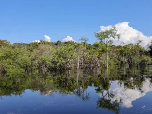 No Brasil, um dos maiores rios do mundo agoniza