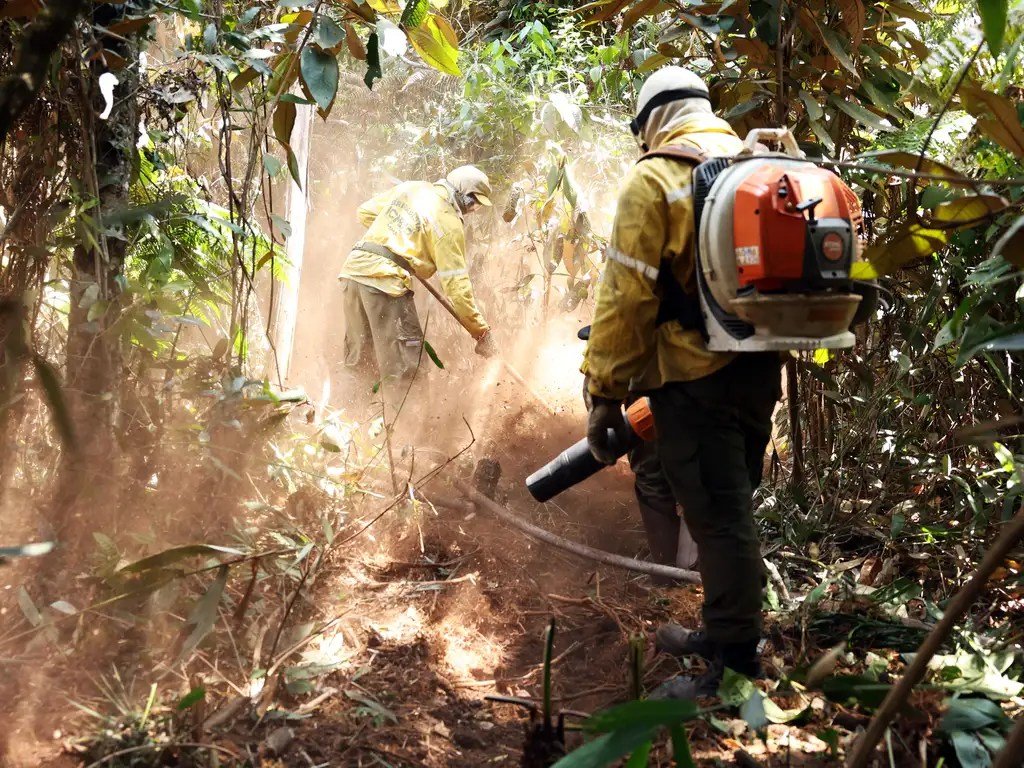 Fundo Amazônia destina até R$ 150 milhões para combater incêndios no Cerrado e Pantanal