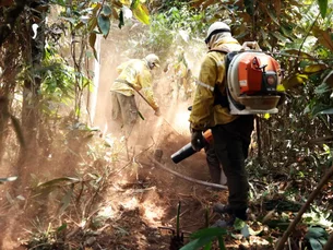 Fundo Amazônia destina até R$ 150 milhões para combater incêndios no Cerrado e Pantanal