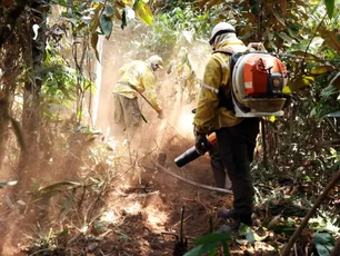 Imagem referente à matéria: Fundo Amazônia destina até R$ 150 milhões para combater incêndios no Cerrado e Pantanal