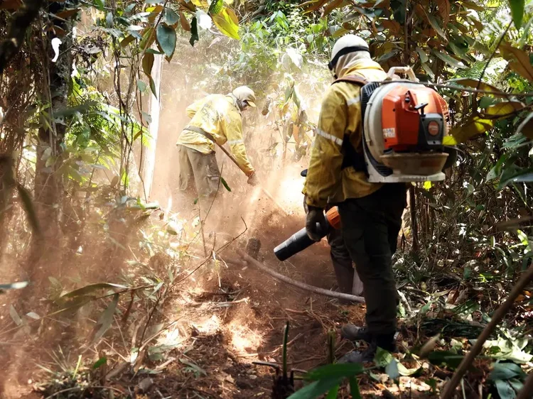 O projeto beneficiará Corpos de Bombeiros Militares e brigadas florestais dos estados de Mato Grosso do Sul, Minas Gerais, Goiás, Bahia, Piauí, Distrito Federal e também a Força Nacional de Segurança Pública (Antonio Cruz/Agência Brasil/Agência Brasil)