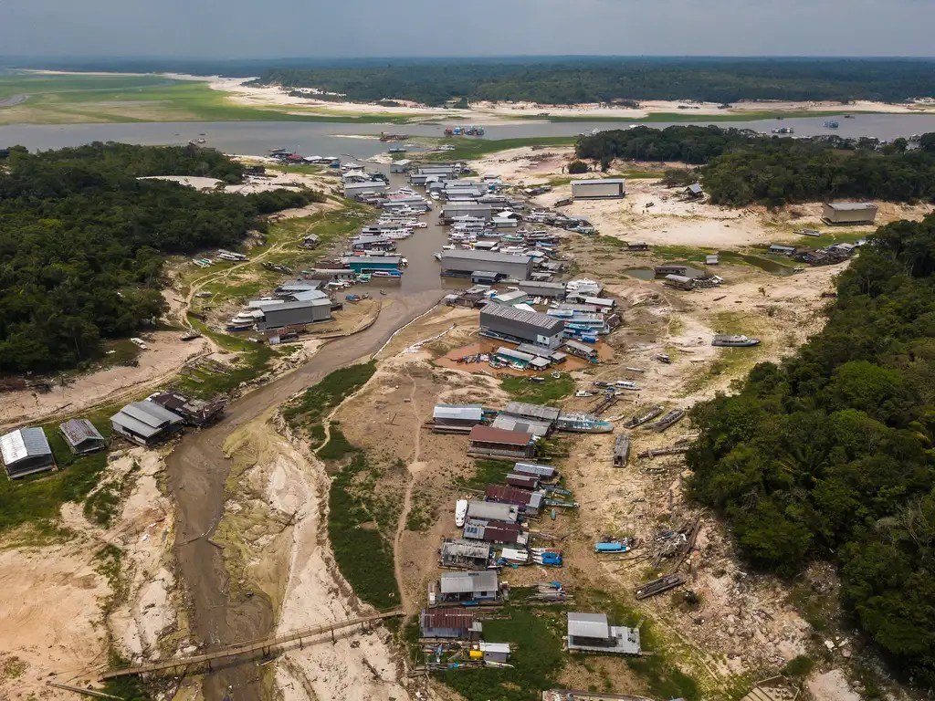 Mudanças climáticas influenciam avanço de caça e pesca ilegais de espécies amazônicas ameaçadas