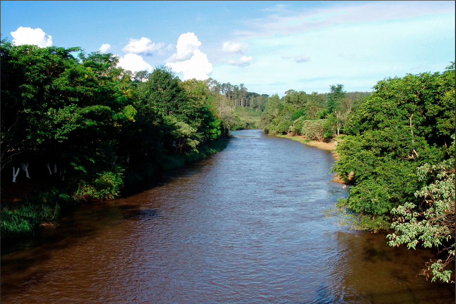 Revitalização da Bacia do Rio Pardo: uma história de sucesso ambiental