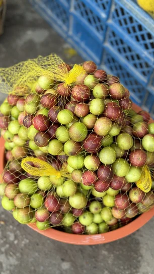 Imagem referente à matéria: Camu camu: Brasil enfrenta desafios para explorar a maior fonte natural de vitamina C do mundo