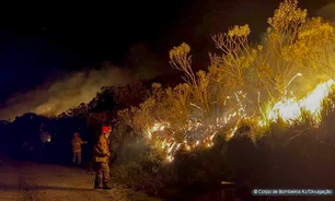 Imagem referente à matéria: No Rio de Janeiro, 460 focos de incêndio são combatidos em um dia