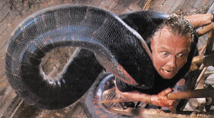 “Anaconda” (1997).        (Columbia Pictures/Cinema Line Film Corporation/Reprodução)