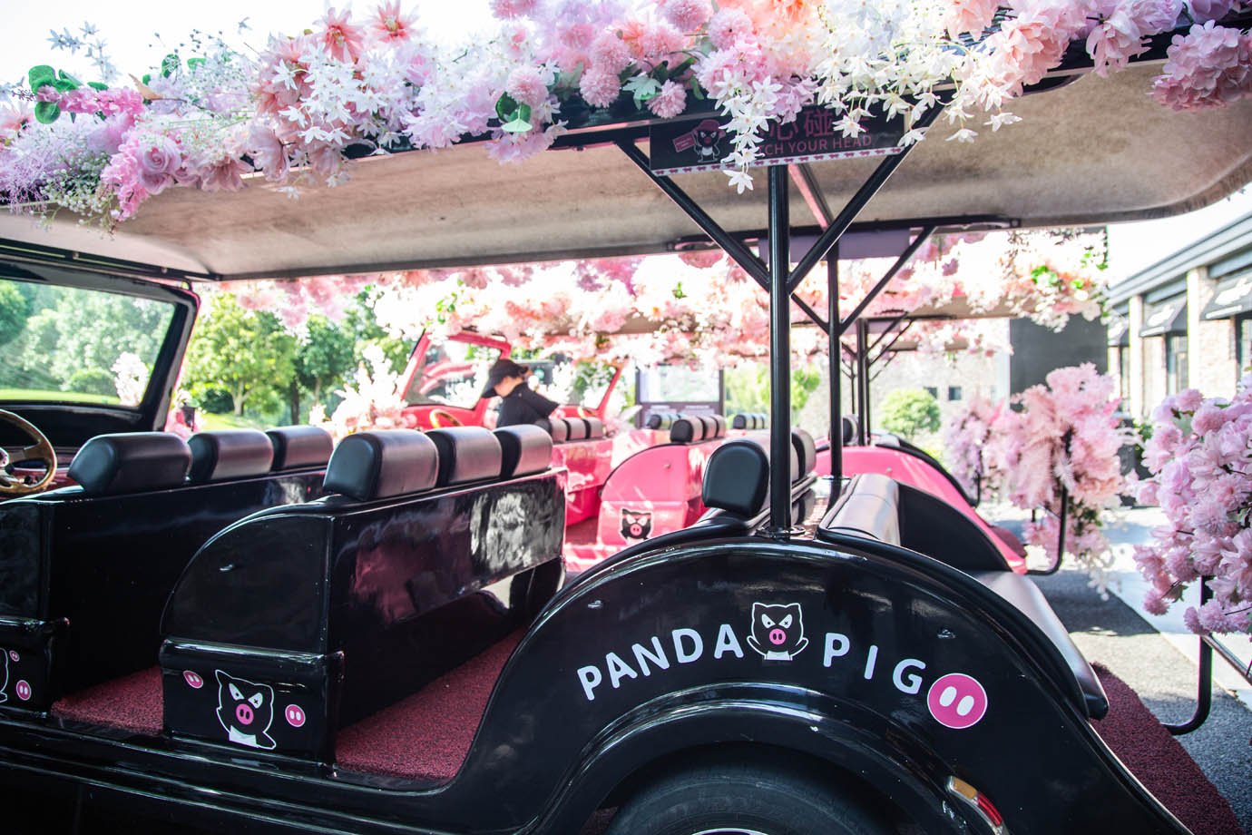 Os carros de transporte dentro da propriedade da Fazenda Internacional do Porco Panda, conhecidos como os "Rolls Royce dos porcos", pelos detalhes.