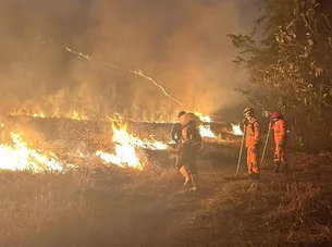 São Paulo tem oito focos de incêndios ativos e 48 cidades em alerta vermelho