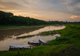 ISA CTEEP apoia novo projeto de créditos de carbono para preservação de 40 mil hectares na Amazônia