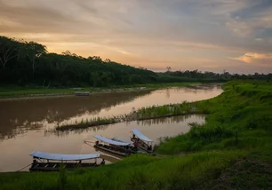 Imagem referente à matéria: ISA CTEEP apoia novo projeto de créditos de carbono para preservação de 40 mil hectares na Amazônia