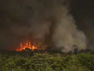 Imagem referente à matéria: Bombeiros continuam tentando apagar incêndio que atinge o Parque Nacional de Brasília