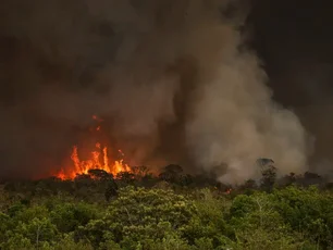 Imagem referente à matéria: Fumaça das queimadas pode aumentar casos de câncer, diz médica