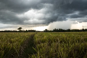 La Niña, chuvas acima da média e onda de calor devem marcar o clima no Brasil em outubro