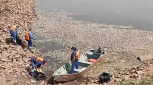 Imagem referente à matéria: Represa Billings fica verde e milhares de peixes aparecem mortos em SP