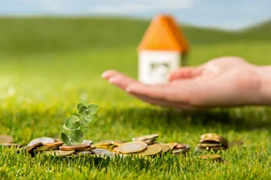 Imagem referente à matéria: Como obter e para que serve o CCIR (Certificado de Cadastro de Imóvel Rural)