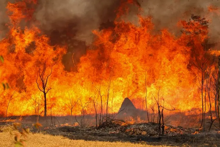 Incêndio de grandes proporções atingiu o Parque Nacional de Brasília no último domingo. Bombeiros e populares tentavam conter as chamas (Fabio Rodrigues-Pozzebom/Agência Brasil)