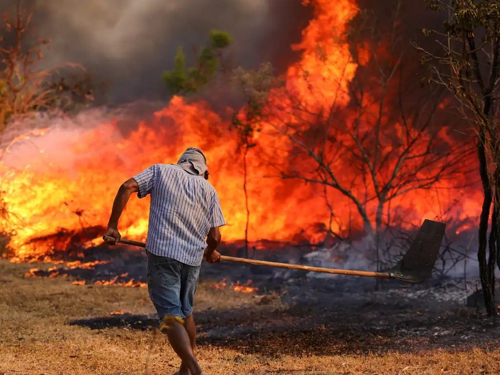 Incêndios reduzem estoque de carbono na Amazônia e Cerrado em até 68%, diz estudo