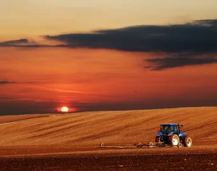 Seca e queimadas aumentam preço do café e açúcar; agronegócio já sente o impacto