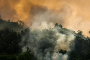 Imagem referente à matéria: Seca e incêndios acendem sinal de alerta na agricultura brasileira