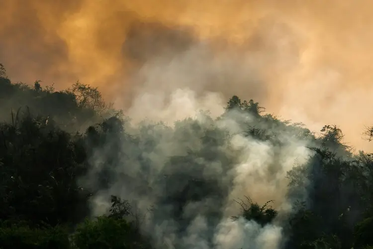 Fogo: "Quando estávamos no combate ao incêndio, o plástico do espelho retrovisor do caminhão-pipa chegou a encolher", relembra agricultor (AFP Photo)