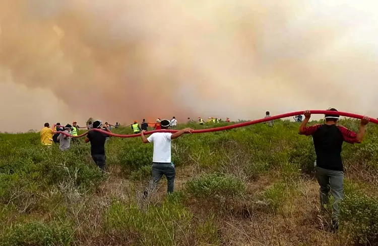 Incêndios florestais: estado de emergência em San Martín, Amazonas e Ucayali (AFP)