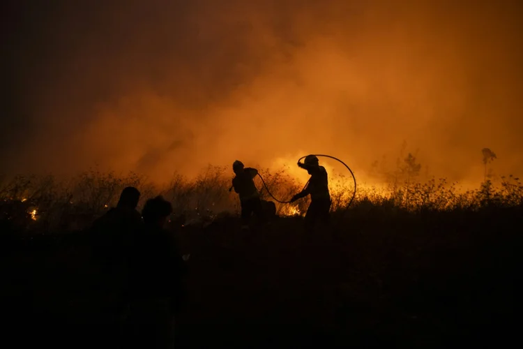 Bombeiros lutam contra incêndio em Aveiro, Portugal (AFP)