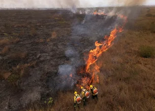 O que tem levado o Brasil a uma situação caótica com incêndios generalizados?