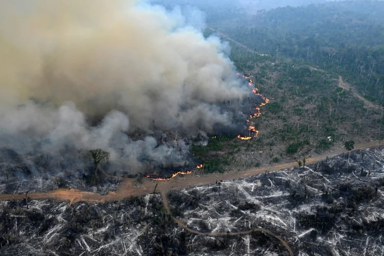 Desastre: perda da floresta aumenta emissão de carbono, altera o ecossistema, a regulação climática e o ciclo hidrológico, afetando as temperaturas e acelerando o aquecimento global (AFP Photo)