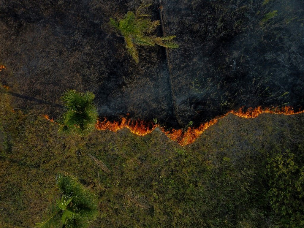 Mais da metade dos territórios indígenas na região amazônica sofre com seca grave ou extrema