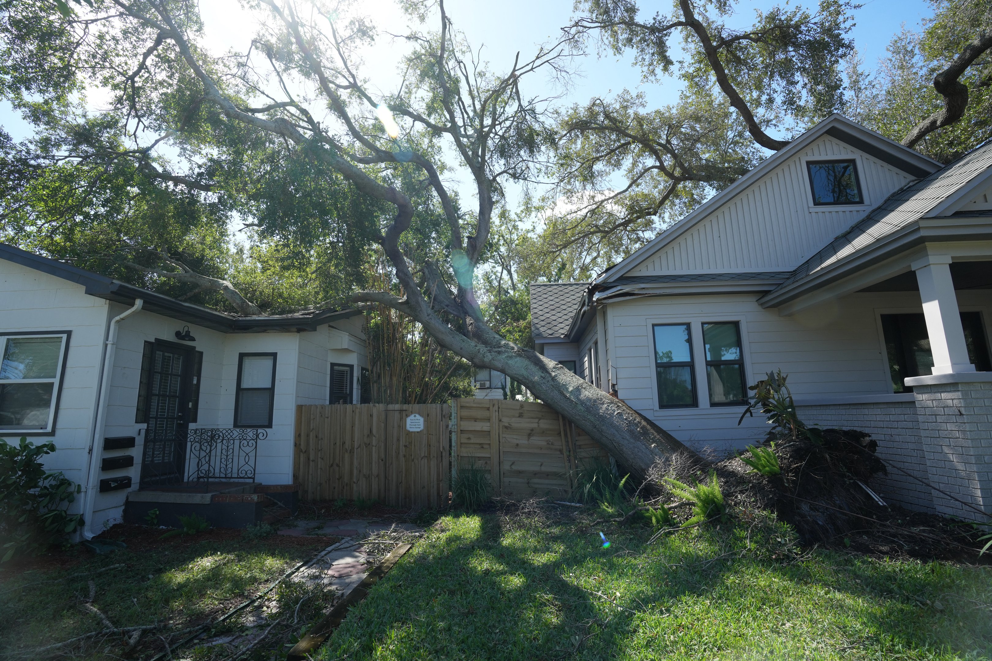 A fallen tree on a house in St. Petersburg due to Hurricane Milton on October 10, 2024 in Florida. At least four people were confirmed killed as a result of two tornadoes triggered by Hurricane Milton on the east coast of the US state of Florida, local authorities said Thursday. (Photo by Bryan R. SMITH / AFP)