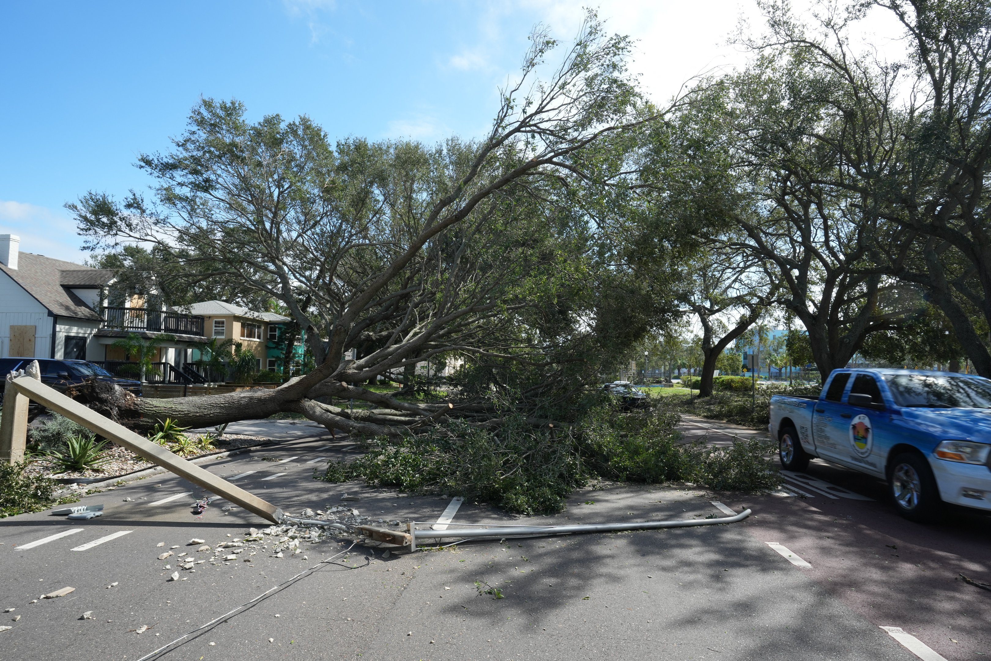 Traffic moves around a fallen tree in St. Petersburg due to Hurricane Milton on October 10, 2024 in Florida. At least four people were confirmed killed as a result of two tornadoes triggered by Hurricane Milton on the east coast of the US state of Florida, local authorities said Thursday. (Photo by Bryan R. SMITH / AFP)