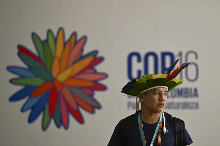 Um homem indígena brasileiro é fotografado no local onde a conferência COP16 será realizada no Pacific Event Center em Cali, Colômbia, em 20 de outubro de 2024. A maior conferência de proteção da natureza do mundo tem um início cerimonial na Colômbia no domingo, com a cidade-sede Cali em alerta máximo após ameaças de um grupo guerrilheiro (JOAQUIN SARMIENTO/AFP)