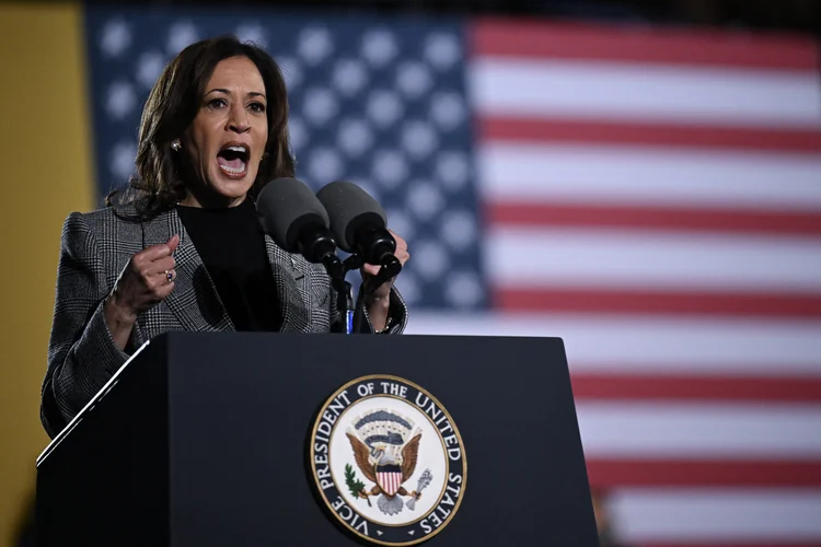 A vice-presidente dos EUA e candidata presidencial democrata Kamala Harris discursa durante um comício de campanha no Burns Park em Ann Arbor, Michigan, 28 de outubro de 2024 ( Drew ANGERER/AFP)