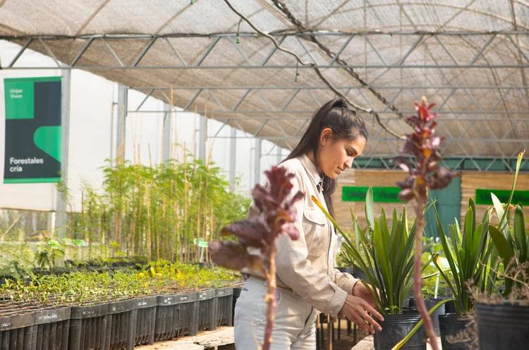 Colaboradora no Viveiro na fábrica em Bahía Blanca (Unipar/Divulgação)