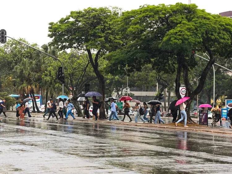  Chuva na W3 Sul, Setor Comecial de Brasília em 9 de outubro de 2024 (Valter Campanato/Agência Brasil)