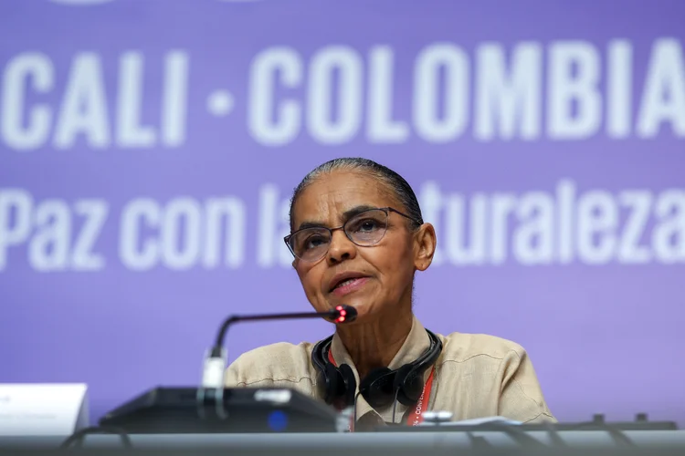 Marina Silva, ministra do meio ambiente e mudança do clima, durante painel em seu primeiro dia de participação da COP16, em Cali, na Colômbia (Ministério do Meio Ambiente/Divulgação)