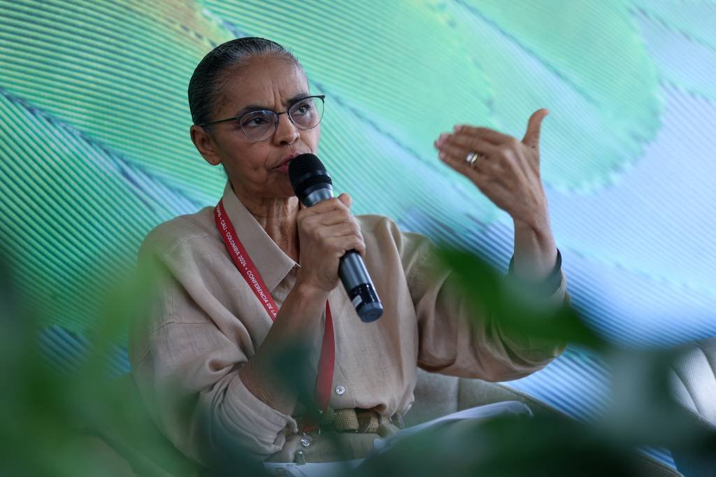 COP16: Brasil busca novo modelo de financiamento da biodiversidade, diz Marina Silva