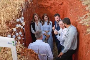 Imagem referente à matéria: Visita real: por que a rainha da Dinamarca visitou o bioma mais ameaçado do Brasil