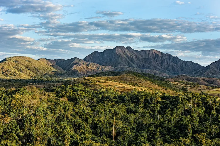 Cerrado: o bioma tem 2 milhões de quilômetros quadrados, que cobrem 24% do território brasileiro (Luciano Candisani/Votorantim/Divulgação)