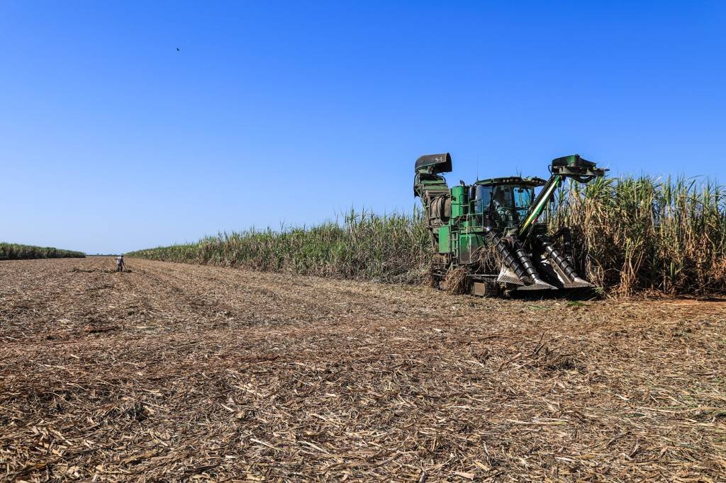 Câmara aprova divisão dos ganhos de créditos de carbono com produtores de cana-de-açúcar