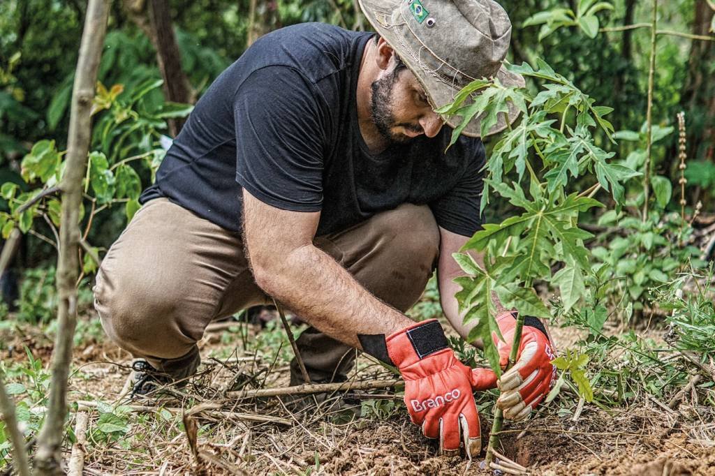 Mil árvores por dia: como a Regen cresce ao formar novas florestas em áreas desmatadas