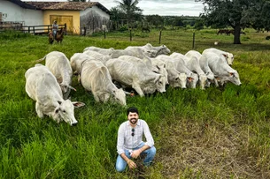 "Consignado do boi" e Fiagro: os planos da Erural para se tornar um 'banco' para pecuaristas