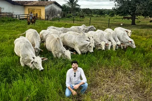 Imagem referente à notícia: "Consignado do boi" e Fiagro: os planos da Erural para se tornar um 'banco' para pecuaristas