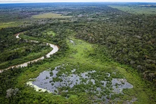 Imagem referente à matéria: Contra queimadas, Votorantim aposta em créditos de carbono no Pantanal