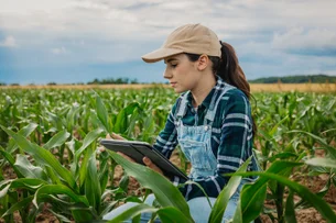 O ‘Novo Rural’ brasileiro: frescor econômico traz oportunidades para o setor da educação no campo