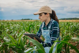 Imagem referente à matéria: O ‘Novo Rural’ brasileiro: frescor econômico traz oportunidades para o setor da educação no campo